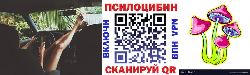 Псилоцибиновые грибы MAGIC MUSHROOMS  как найти закладки  Шебекино 